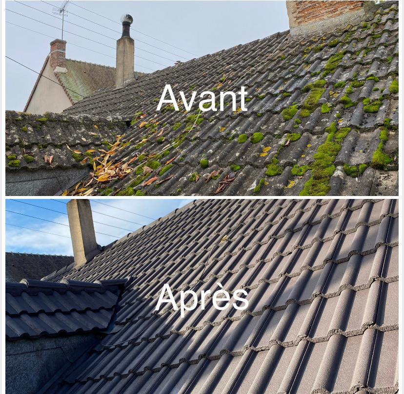 Nettoyage de toiture et rénovation de façade
