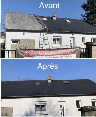 Démoussage et remise en peinture de la toiture sur ardoise