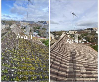 Démoussage et traitement de la toiture complète