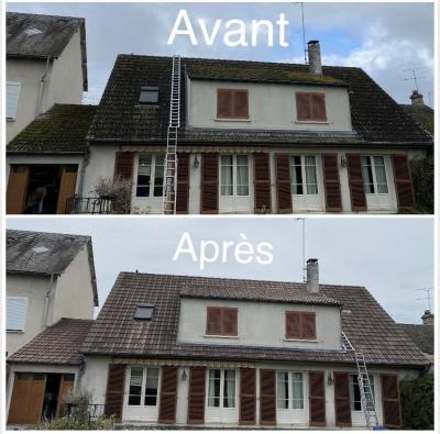 Démoussage et traitement de la toiture complète