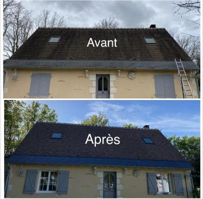 Traitement et nettoyage de la toiture complète