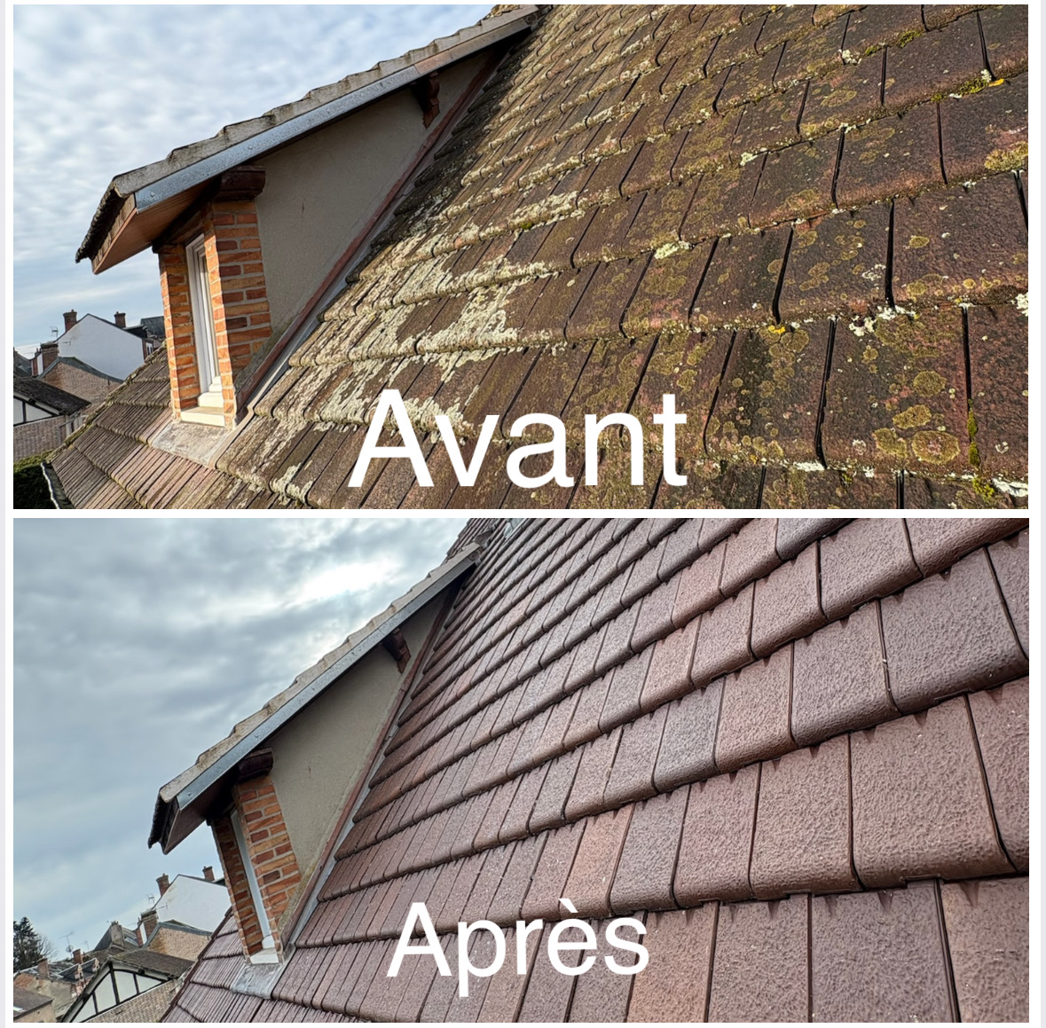 Traitement et nettoyage de toiture