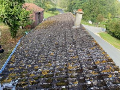 Démoussage et traitement de toute la toiture