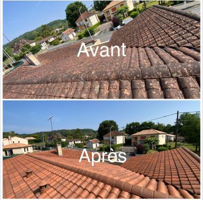 Traitement et nettoyage d’une toiture complète