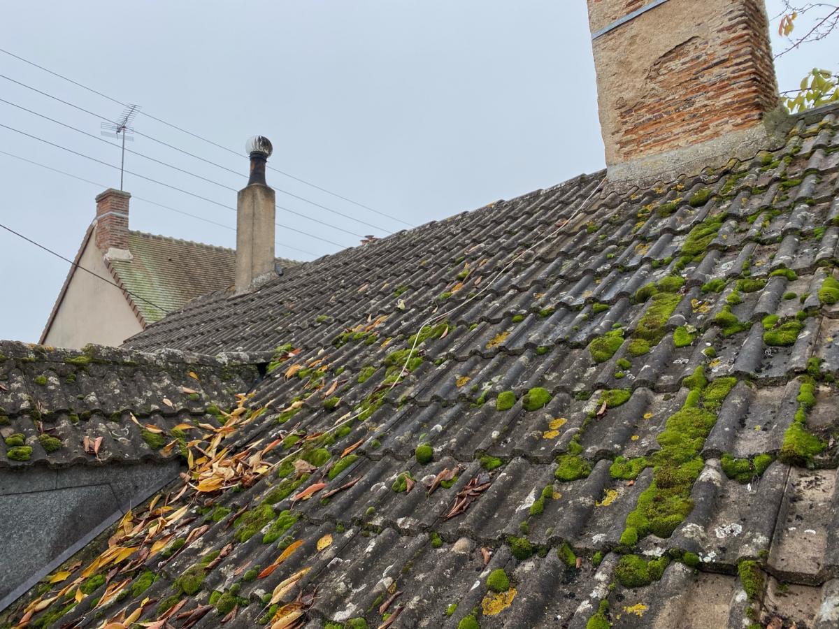 Démoussage et remise en peinture de toute la toiture